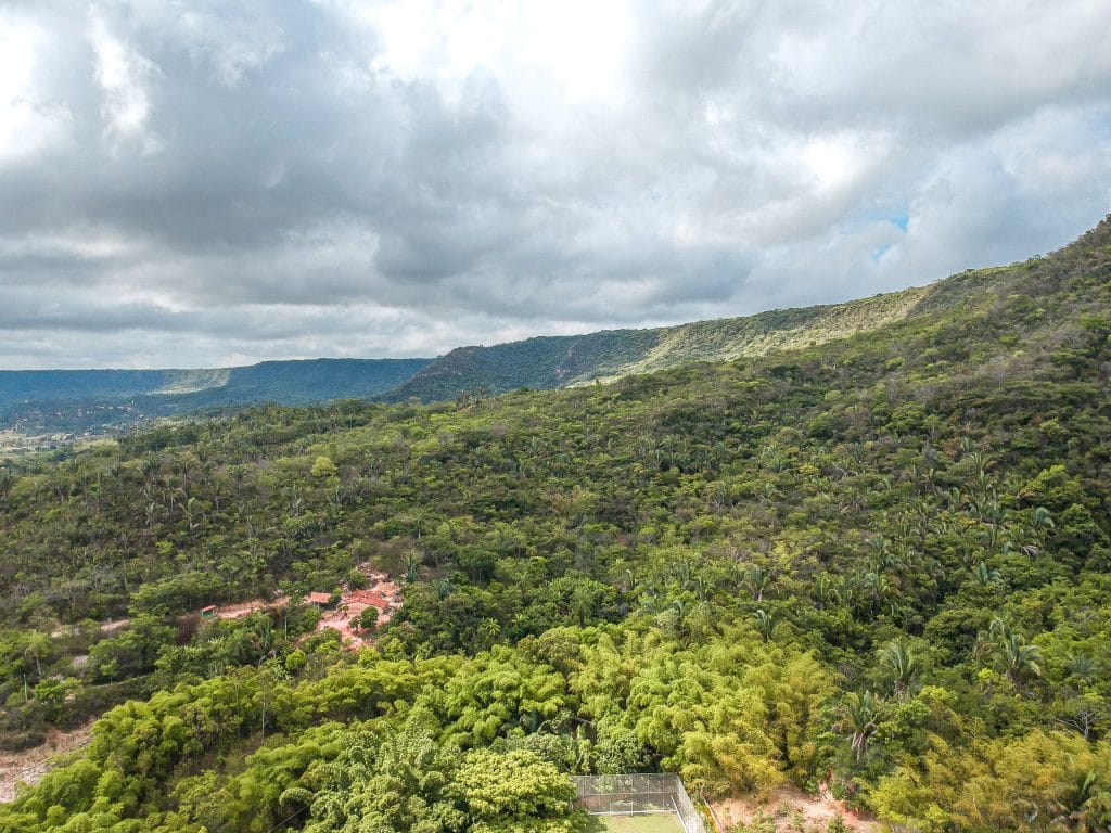 Cariri: Tudo o que você precisa saber!