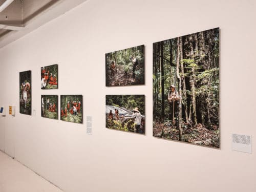 Exposição Amazônia: O Processo de Criação de Sebastião Salgado - Itaú Cultural